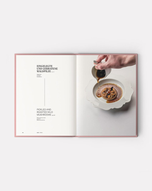 Libro Aura & Anima de Alexander Herrmann and Tobias Bätz 2