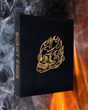 Book Burnt Ends by Dave Pynt
