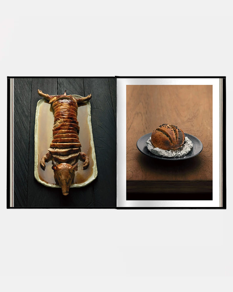 Book Burnt Ends by Dave Pynt