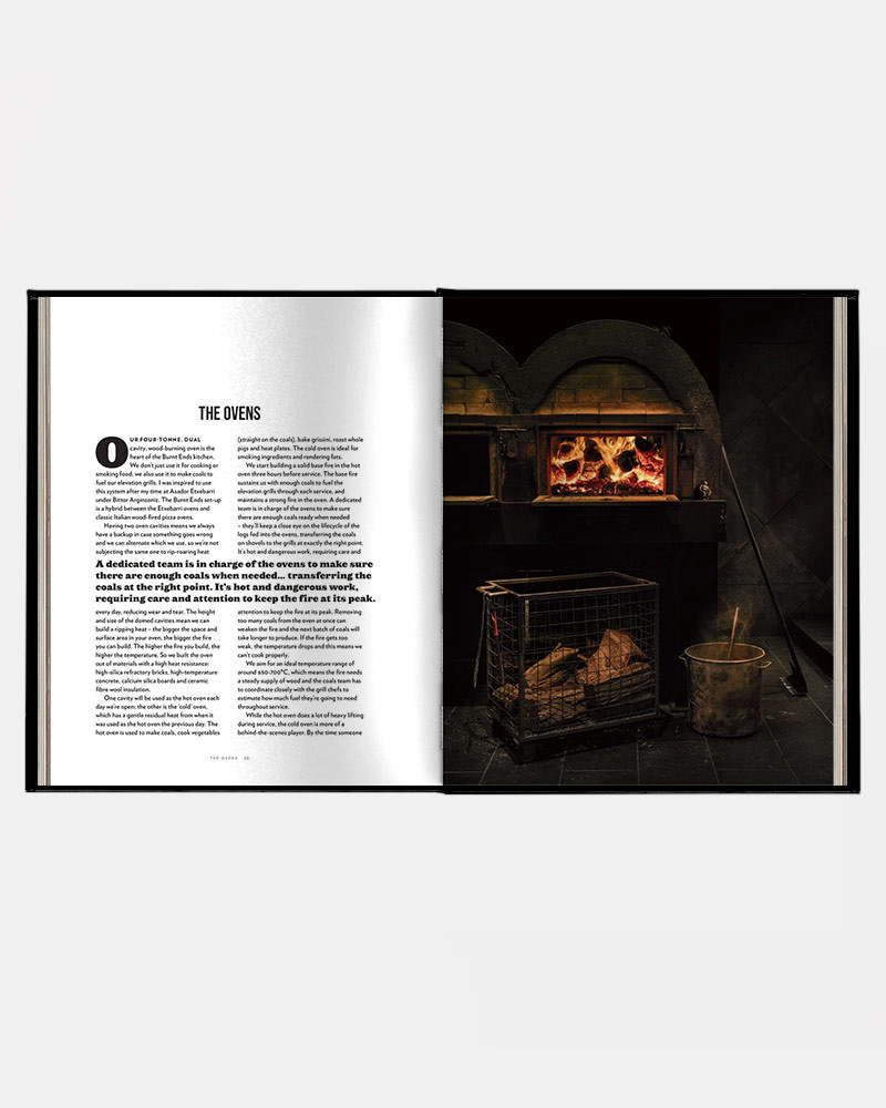Book Burnt Ends by Dave Pynt