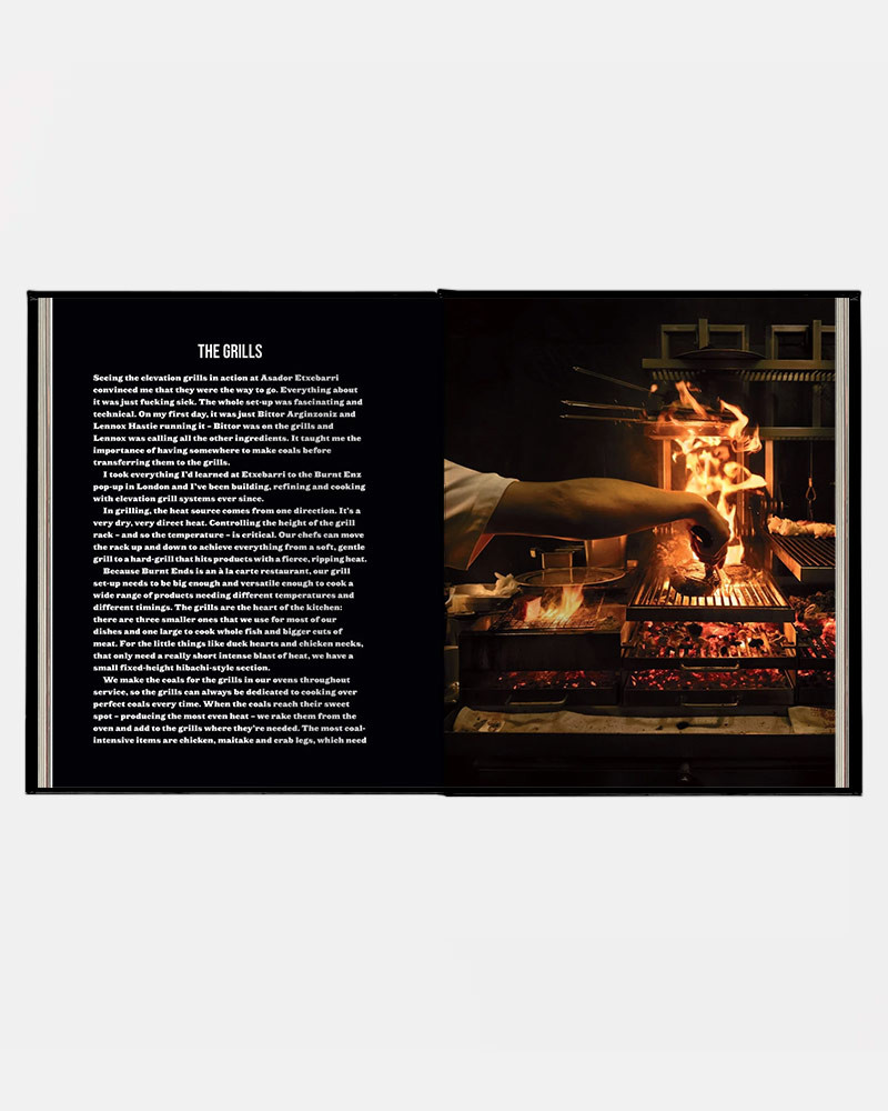 Book Burnt Ends by Dave Pynt