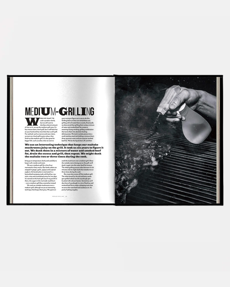 Book Burnt Ends by Dave Pynt