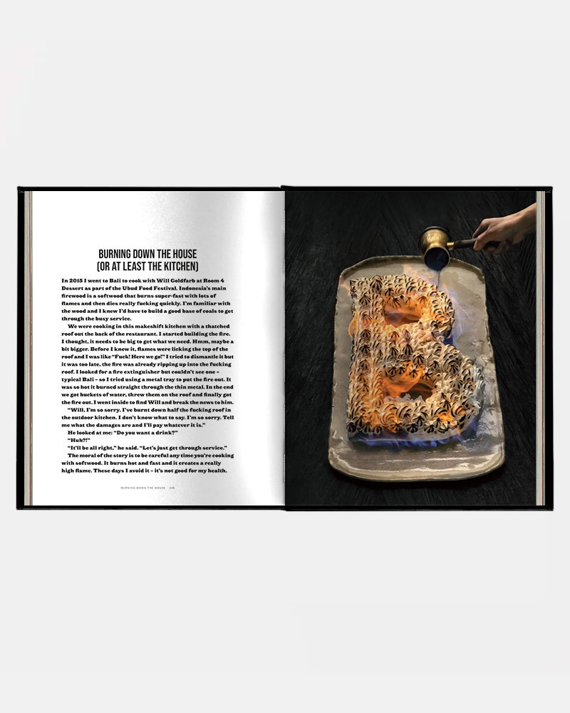 Book Burnt Ends by Dave Pynt