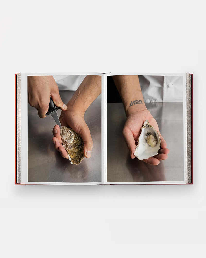 BiBi The Cookbook - Sharma