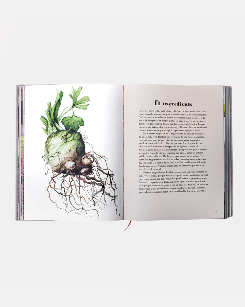 Libro Rosetta de Elena Reygadas