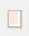 Libro Rosetta de Elena Reygadas