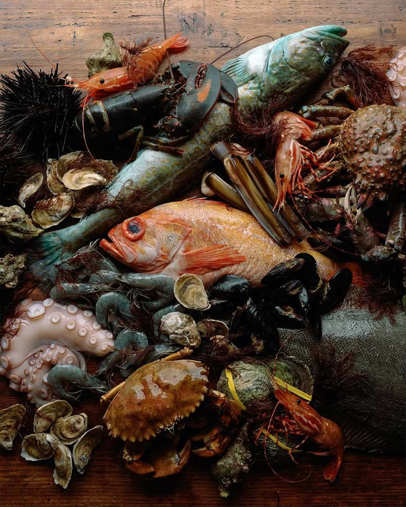 Book How to Cook the Finest Things in the Sea by Ari Kolender