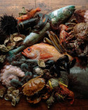 Book How to Cook the Finest Things in the Sea by Ari Kolender
