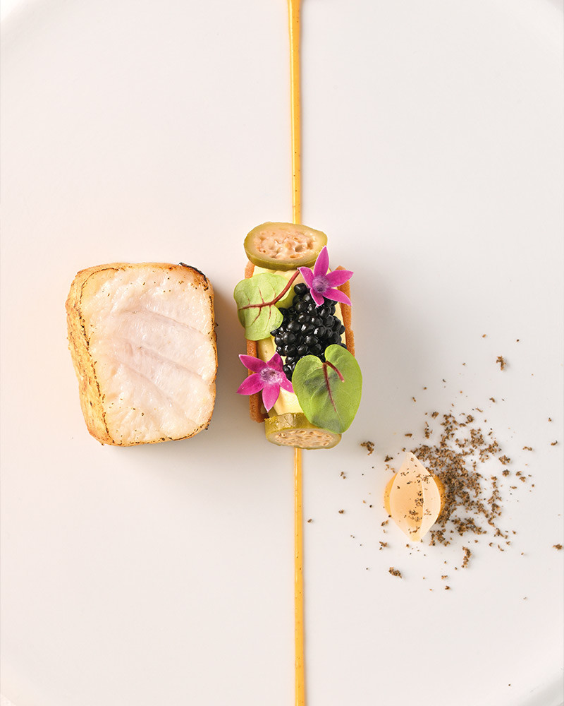 Saber y Sabor 199. Haute cuisine magazine. Gastronomy , cuisine recipes