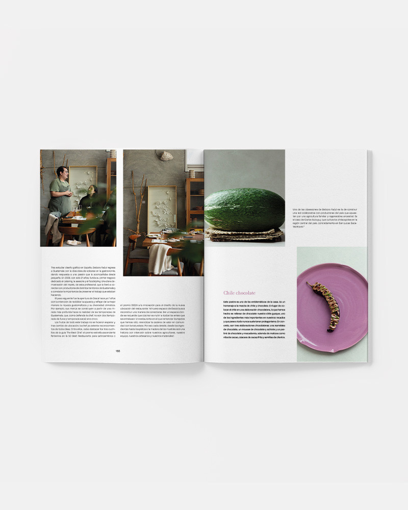 Saber y Sabor 199. Haute cuisine magazine. Gastronomy , cuisine recipes