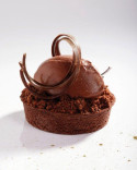 Il Gelato in 101 domande Book