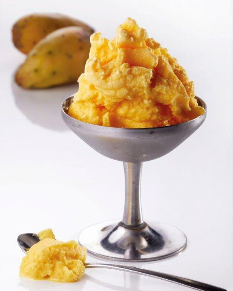 Il Gelato in 101 domande Book