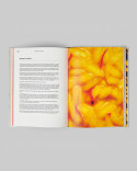Book Arroz. Técnica y Esencia by Luis Arrufat
