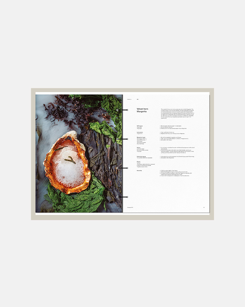 Book Disfrutar Vol.3 by Oriol Castro, Eduard Xatruch and Mateu Casañas