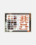 Book Disfrutar Vol.3 by Oriol Castro, Eduard Xatruch and Mateu Casañas
