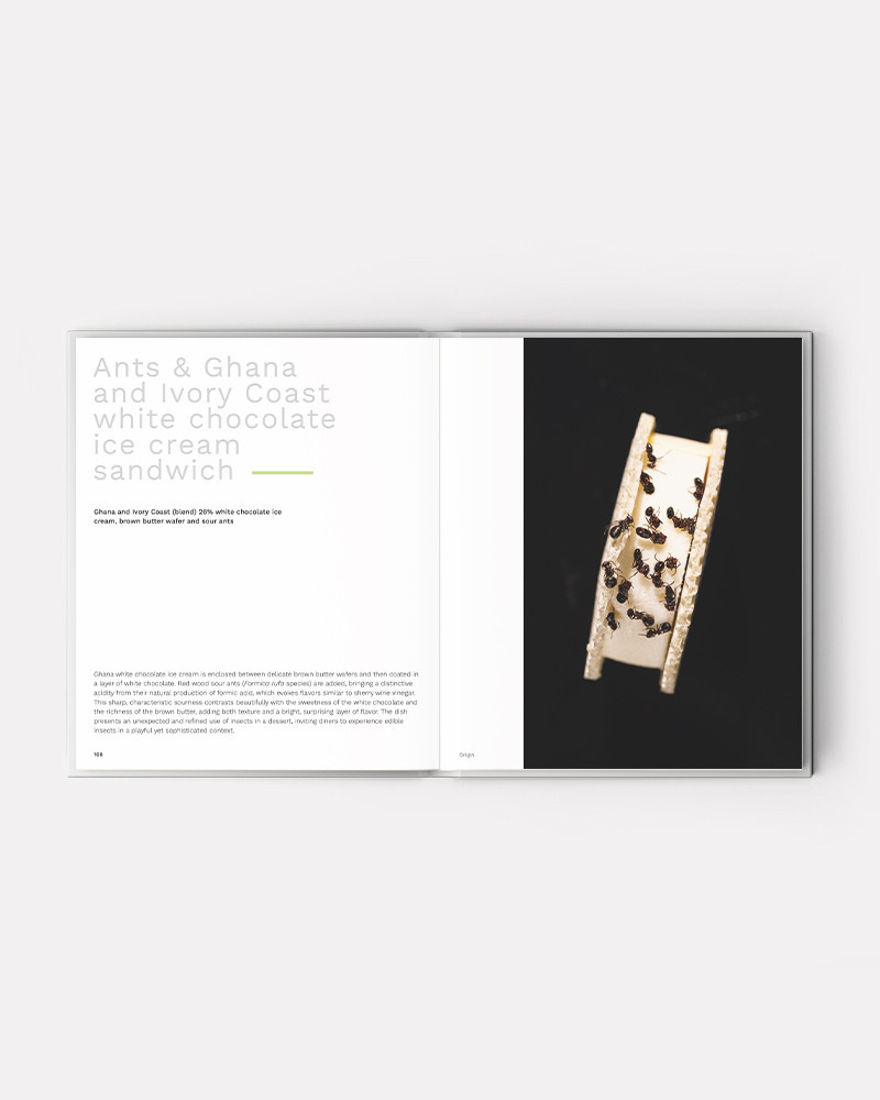 Book Beyond Chocolate by Diego Prado and Esther Merino