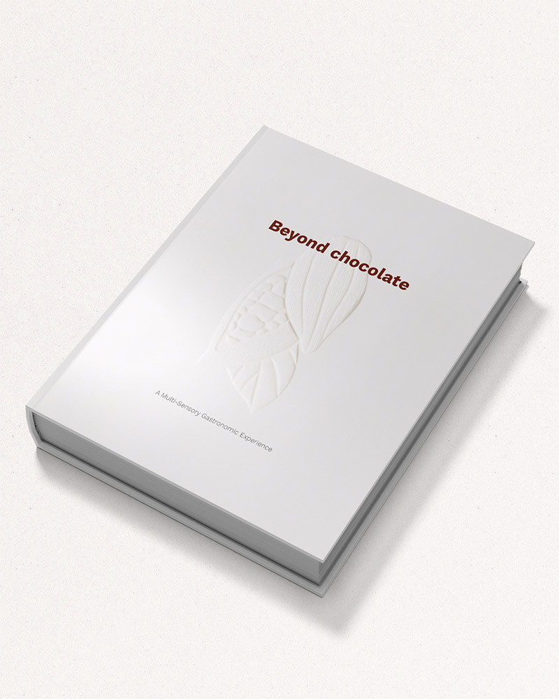 Book Beyond Chocolate by Diego Prado and Esther Merino