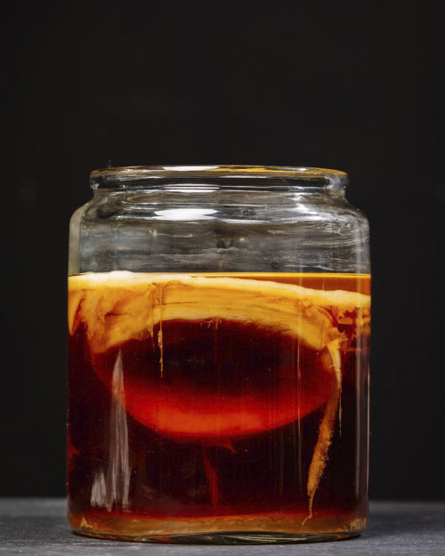 Libro Fermentos de Basque Culinary Center 2