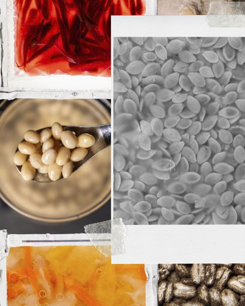 Fermentos Book by Basque Culinary Center