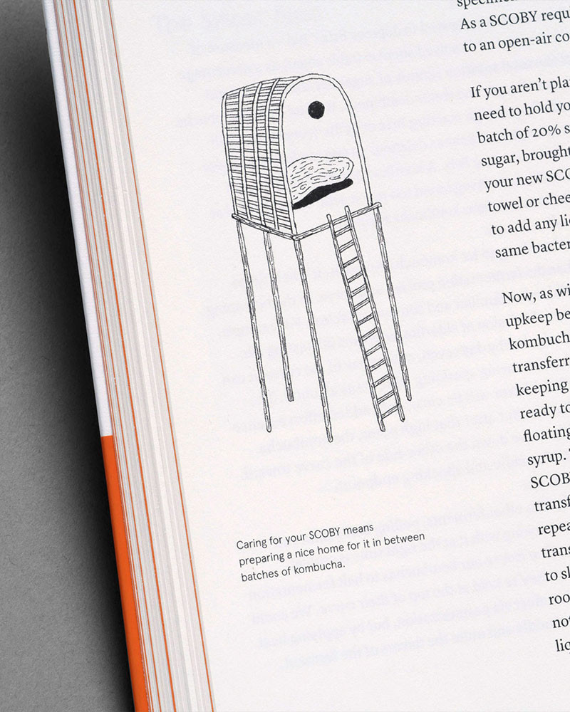 The Noma Guide to Fermentation Book by René Redzepi