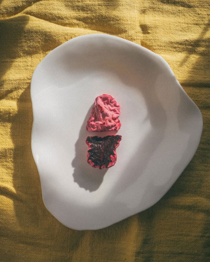 The Fermentation Kitchen Book by Sam Cooper