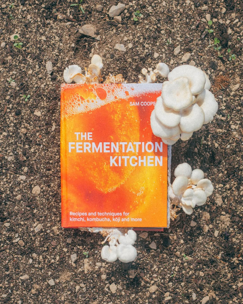 The Fermentation Kitchen Book by Sam Cooper