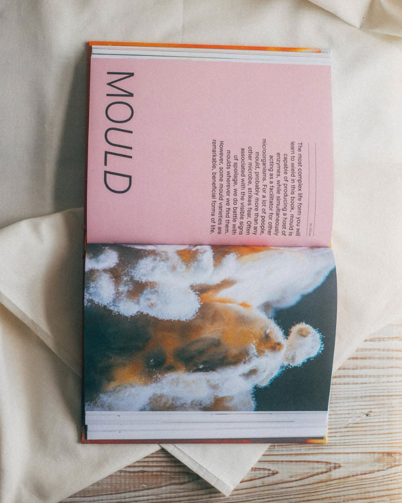 The Fermentation Kitchen Book by Sam Cooper