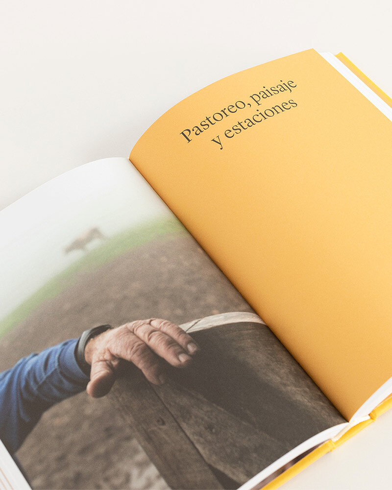 Book Leche, Fermento y Vida by Clara Diez