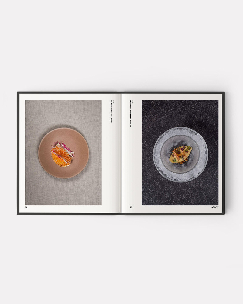 Book Oteque by Alberto Landgraf