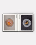 Book Oteque by Alberto Landgraf