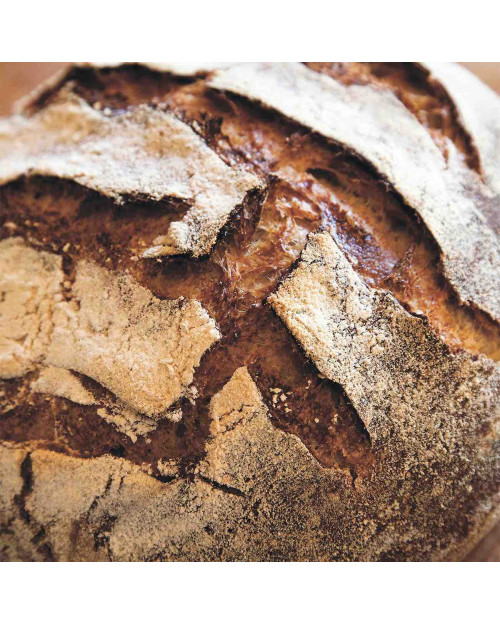 Tartine Bread by Chad Robertson 2