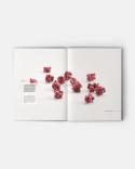Book One week with Yann Duytsche