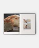 True Bread book by Joaquín Llarás