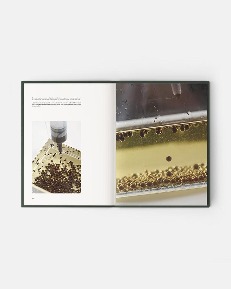Evolution libro de Jordi Puigvert. Técnicas e ingredientes para la pastelería actual