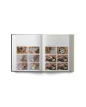 Sourdough panettone and viennoiserie by Thomas Teffri-Chambelland