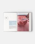 30 indispensable ice creams book