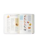 Candy. The desserts of elBarri by David Gil and Albert Adrià