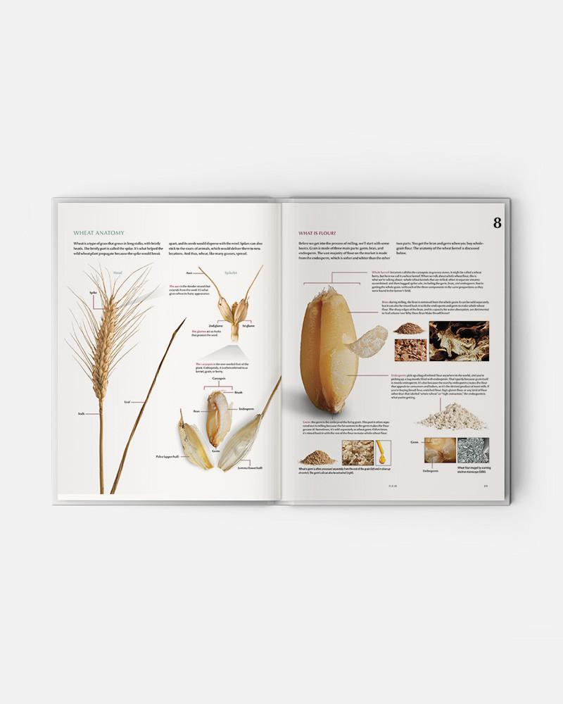 Modernist Bread