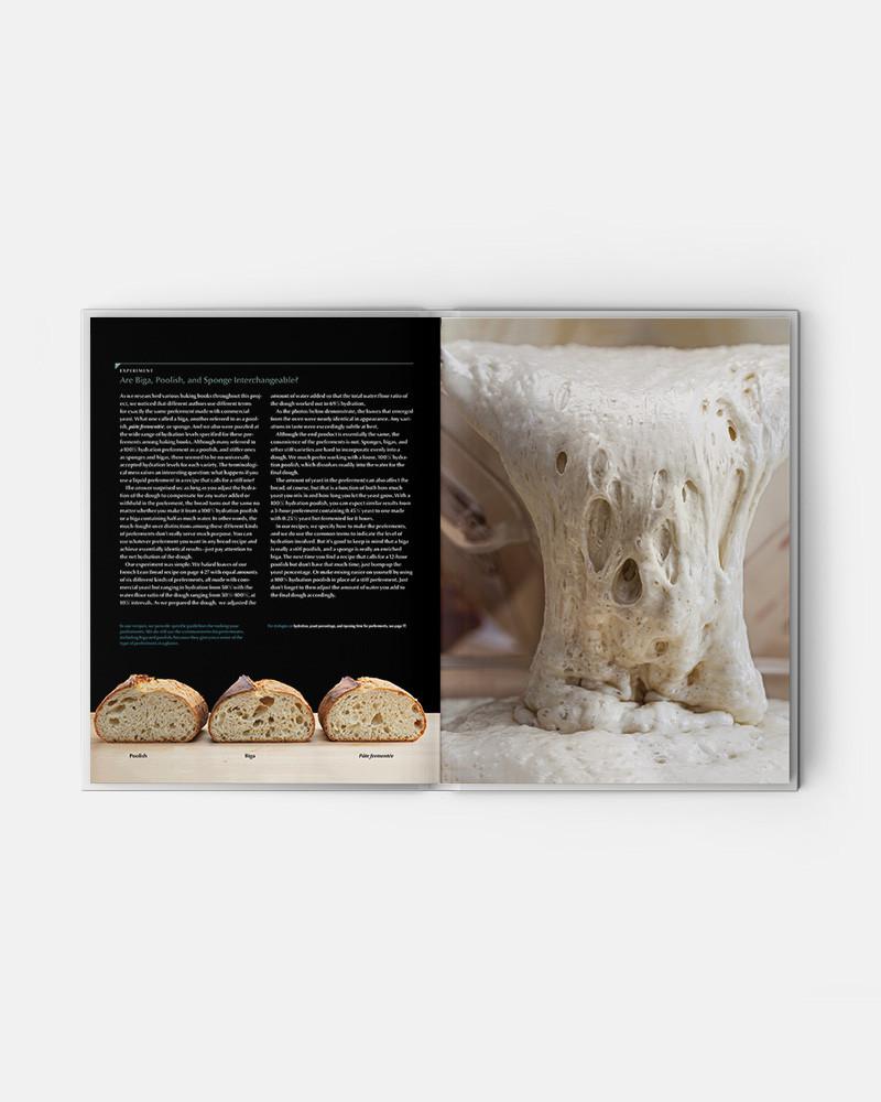 Modernist Bread