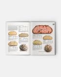 Modernist Bread