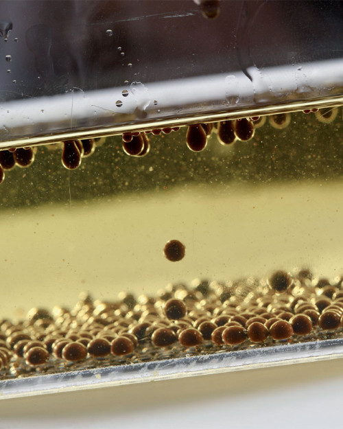 Evolution book by Jordi Puigvert.  Technological ingredients in pastry 2