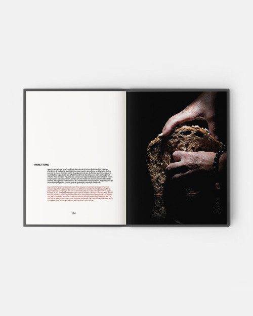 RADIX book by Paco Torreblanca 2