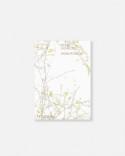 COI. Stories and recipes by Daniel Patterson