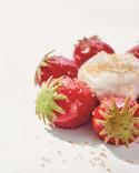 Instants sucrés au Ritz Paris de François Perret