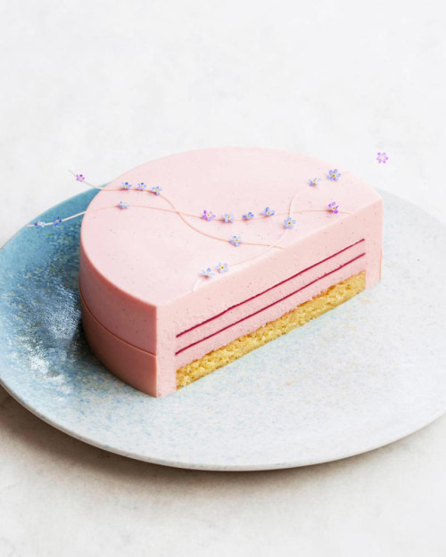 Ebook Chocolate Entremets By Maja Vase. Online. PDF 2
