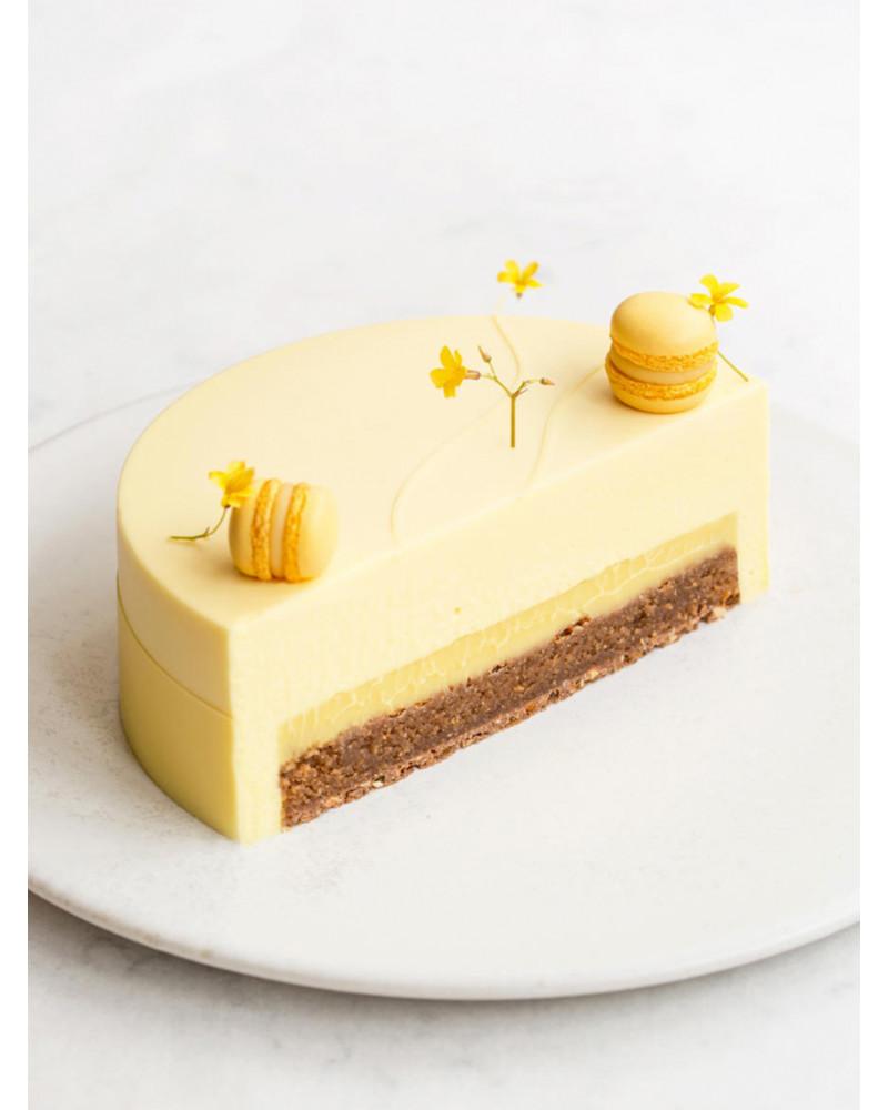 Ebook Chocolate Entremets de Maja Vase. Online. PDF