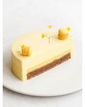 Ebook Chocolate Entremets By Maja Vase. Online. PDF