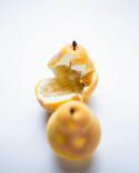 Fruits, a book by Cédric Grolet