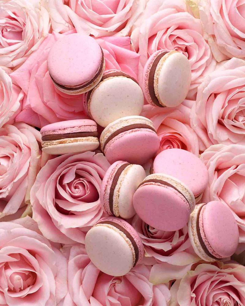 Infiniment Macaron - Pierre Hermé