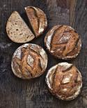 La boulangerie de Frédéric Lalos